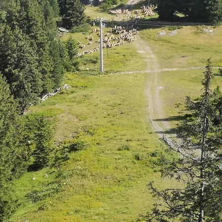 Edelweiss Vue Sur Recoin La Croix De Grenoble アパート