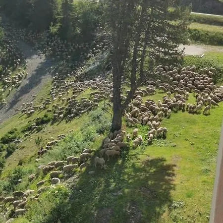 Edelweiss Vue Sur Recoin La Croix De Grenoble シャンルッス