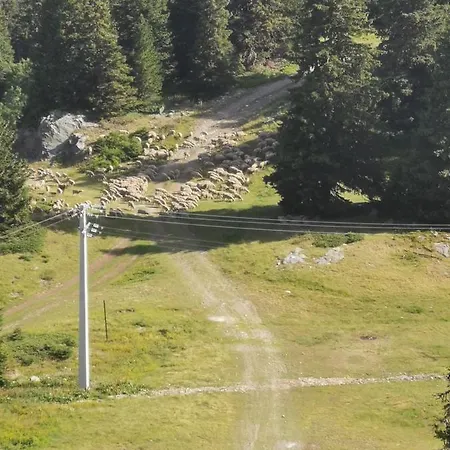 Edelweiss Vue Sur Recoin La Croix De Grenoble *