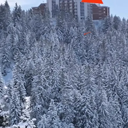Edelweiss Vue Sur Recoin La Croix De Grenoble *